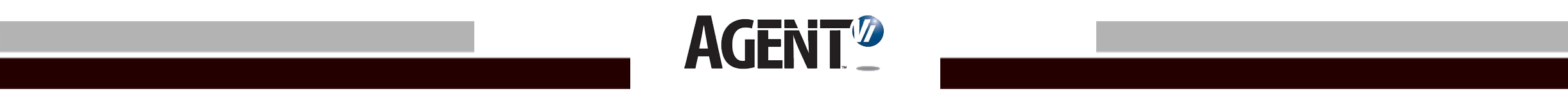 Software Video analítico - AgentVi Software Video analítico - AgentVi